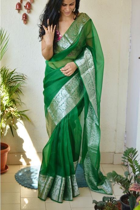 Plain Sarees in Simple, Shimmerring, Netted & 10+ Designs