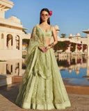 Alluring Parrot Colored Soft Organza Silk Lehenga Choli TDS2976