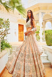 Exclusive Baby Pink Embroidered Zari Work Silk Lehenga TDS4688