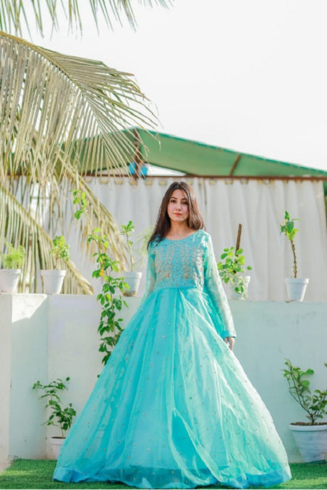 Sky Blue Gown Dress Fully Embroidered for Function Wear