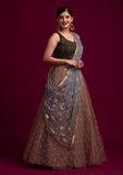 Light Grey Sequins Net Designer Dupatta