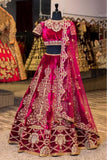 Audacious Rani Color Heavy Velvet Designer Lehenga Choli TDS2835