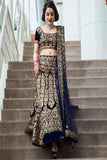 Online Lightweight Blue Lehenga Choli TDS2822