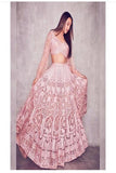 Baby Pink Pepper Silk Heavy Box Pattern Round Chain Embroidery Lehenga TDS2953