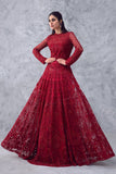 Blissful  Dark  Red Colored  Heavy Work Gown Design