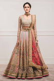 Glowing Multi color Banglory Sarin Lehenga Choli Design