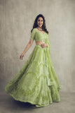 Bollywood Style Parrot Lehenga Choli For 2021