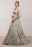 Designer Light Green color Party Wear Lehenga Choli