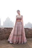 Beautiful Baby Pink Net Festive Wear Lehenga Choli With Designer Blouse