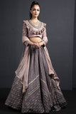 Gray  Soft Net Zari Work Sangeet Flared Lehenga Choli