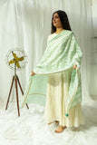 Pastel Pista Green Dupatta